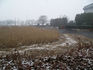 snow20080123.jpg